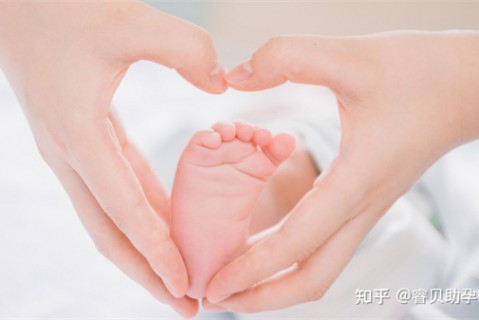 http://zhengzhou.51dzb.net/post/188.html|郑州新闻中心